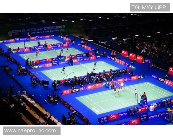 南京羽毛球队在钻石联赛中的拼搏历程与荣耀时刻回顾