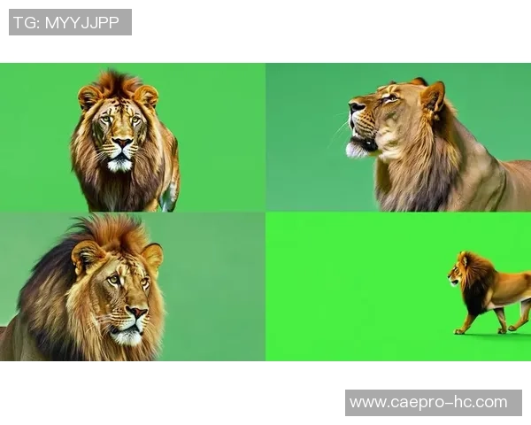 足球明星绿幕视频素材全方位展示助力创意短视频制作的最佳选择