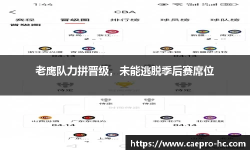 老鹰队力拼晋级，未能逃脱季后赛席位