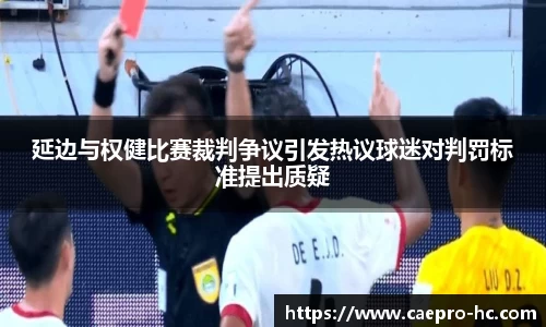 延边与权健比赛裁判争议引发热议球迷对判罚标准提出质疑
