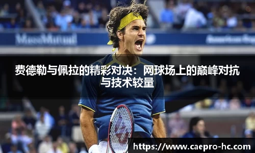 费德勒与佩拉的精彩对决：网球场上的巅峰对抗与技术较量