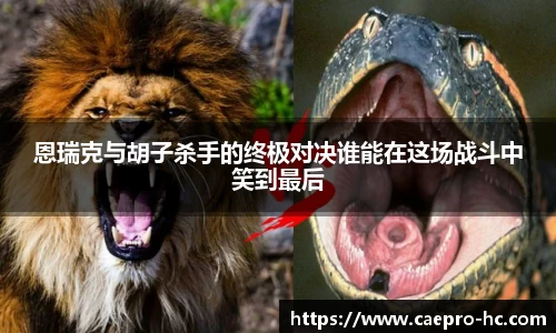 B体育官网