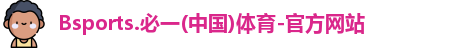 B体育官网
